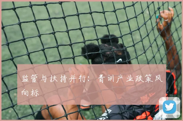 监管与扶持并行：青训产业政策风向标
