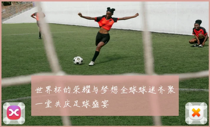 世界杯的荣耀与梦想全球球迷齐聚一堂共庆足球盛宴