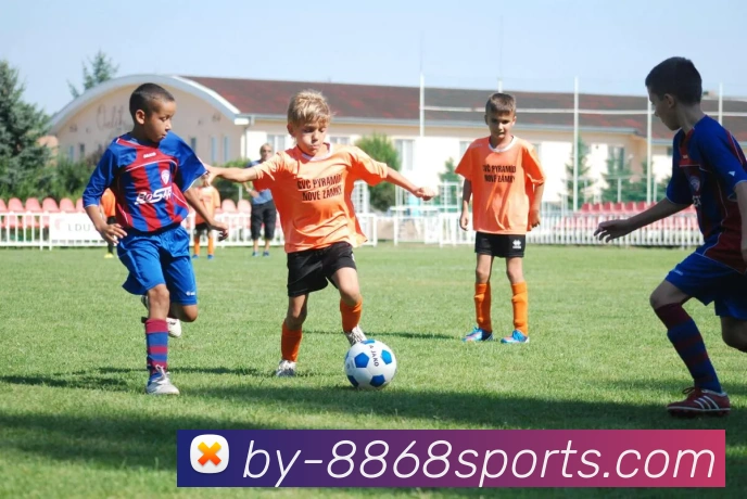 多媒体互动体验